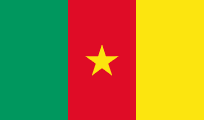 flag-of-Cameroon E-Visa Quick