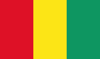 flag-of-Guinea E-Visa Quick