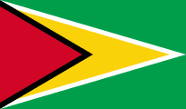 flag-of-Guyana E-Visa Quick